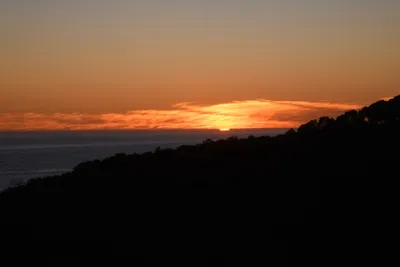 DSC_2559 (Large).JPG